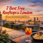 London rooftop sunset with cocktails