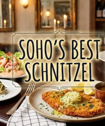 Bebe bob soho review