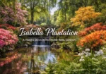 isabella_plantation_image