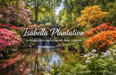 isabella_plantation_image