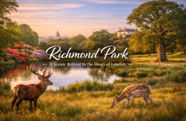 richmond_park_feature_image