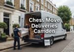 chess-move-deliveries-camden-image
